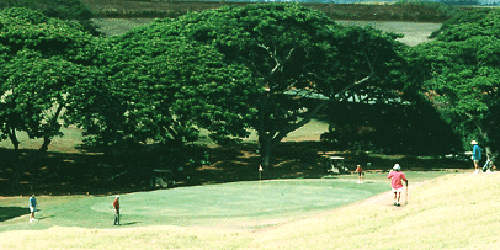 Hawaii Country Club