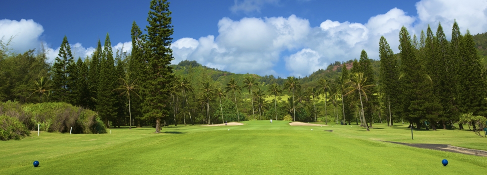 Wailua Golf Course Golf Outing